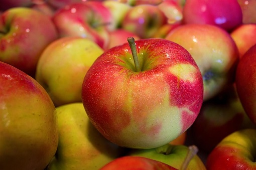 pozostale rosliny uprawne eksport polskich jablek 