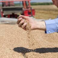 Wielu rolników może nie otrzymać zapowiadanych dopłat do zbóż. Chodzi o faktury