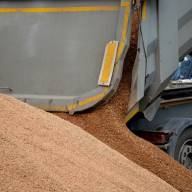 19.04.2024 Ceny zbóż, kukurydzy, oleistych i strączkowych: próżno wypatrywać istotnych podwyżek