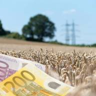 Bruksela śle kolejny miliony euro na ukraińskie rolnictwo. Liczba unijnych programów wsparcia będzie rosła 