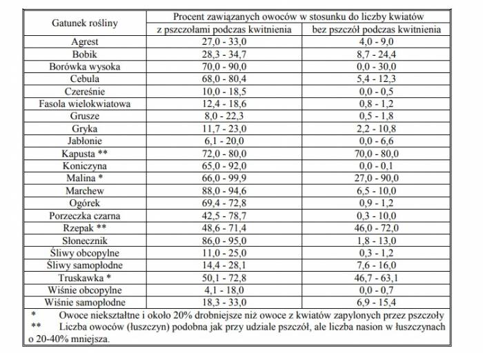 kwiaty tabela owoce cenyrolnicze pl