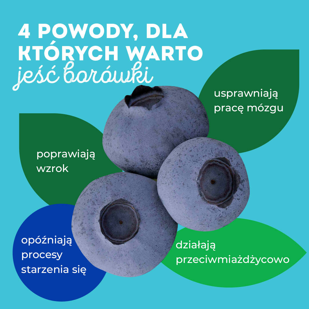 borowka wlasciwosci