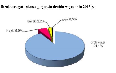 struktura-drobiu-2015