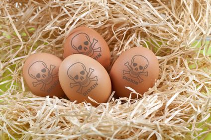 jaja toksyczne jaja z fipronilem z niemiec trafily na kujawy mazowsze i wielkopolske portal ceny rolnicze pl 