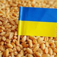 Sachajko o liście importerów zboża z Ukrainy: Ustępuje się dużym firmom, które szantażują ministerstwo rolnictwa