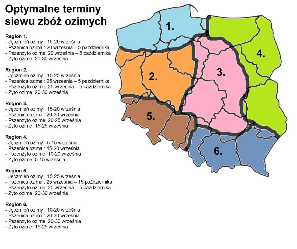 3. Optymalne terminy siewy ozime nowicki cenyrolniczE pl