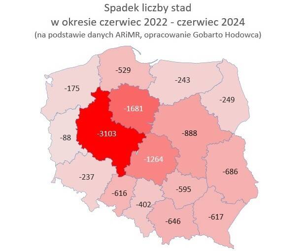 Spadek liczby stad gobarto grafika cenyrolnicze pl