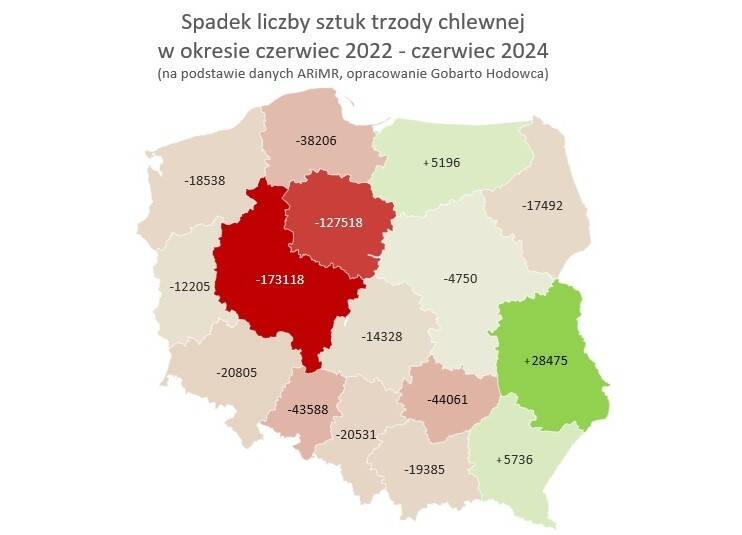 Spadek liczby sztuk trzody gobarto grafika cenyrolnicze pl