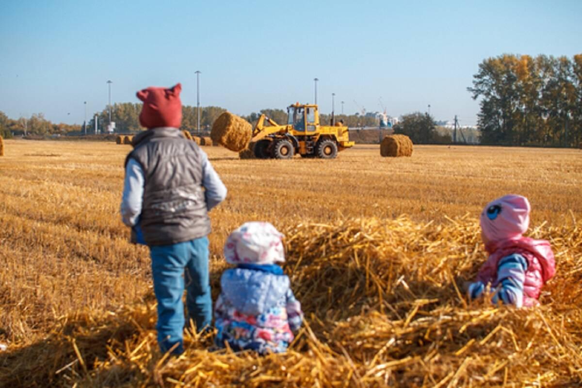 dzieci, KRUS, rolnictwo 