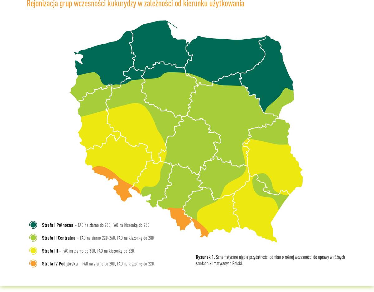 mapa kukurydza odmiany 3 nowicki radek cenyrolnicze pl