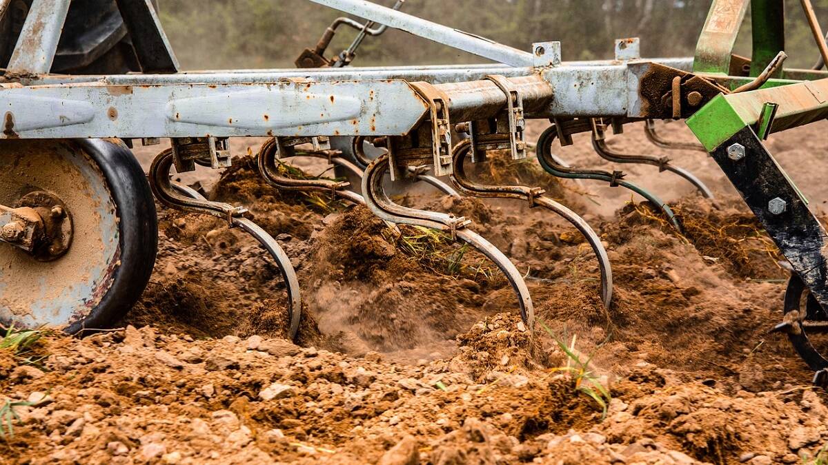 Ukraina, agroholdingi, konkurencja 