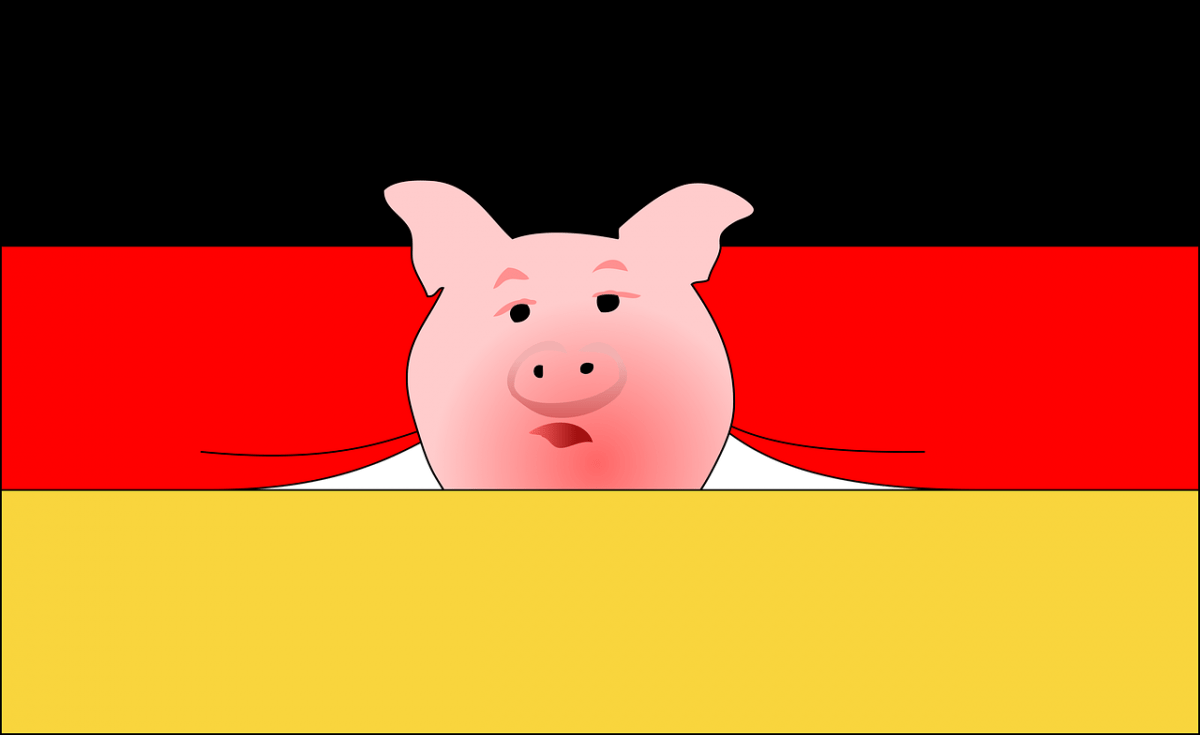 niemcy, flaga, świnia, ceny tuczników 