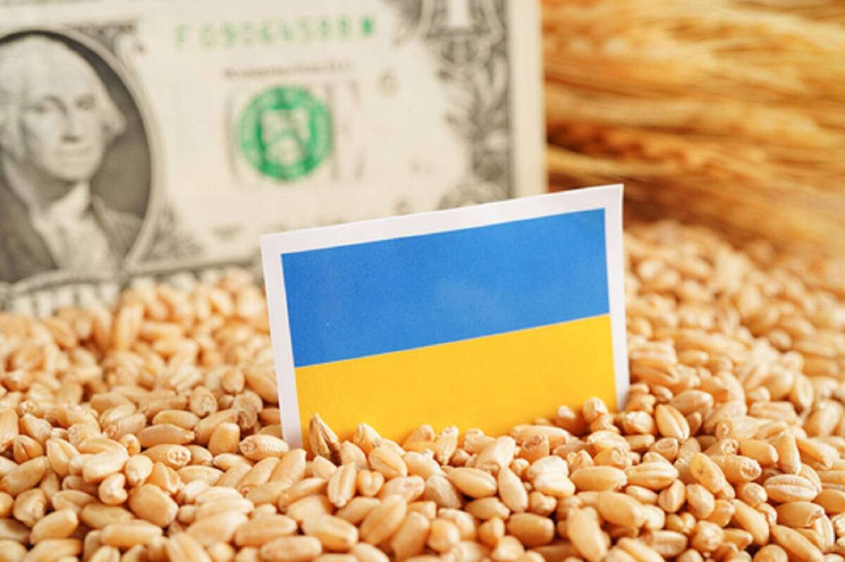 korupcja, zboże, Ukraina 