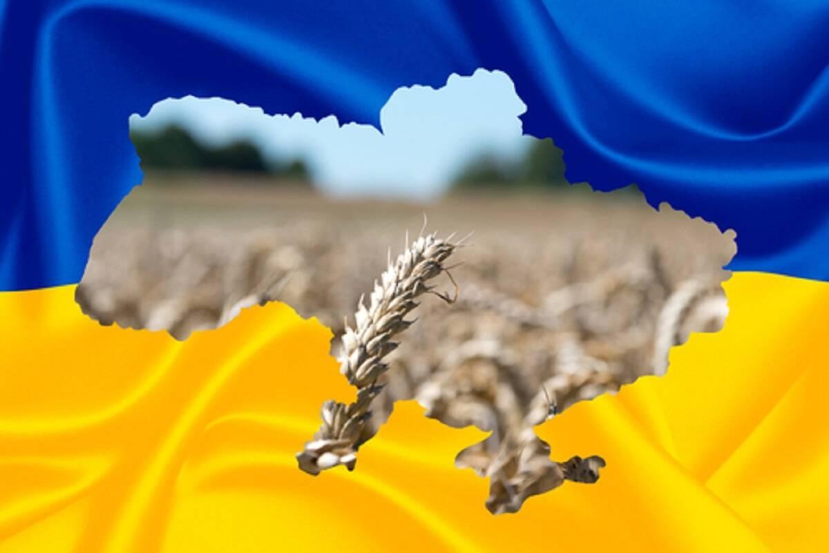 korupcja, Ukraina, eksport zboża 