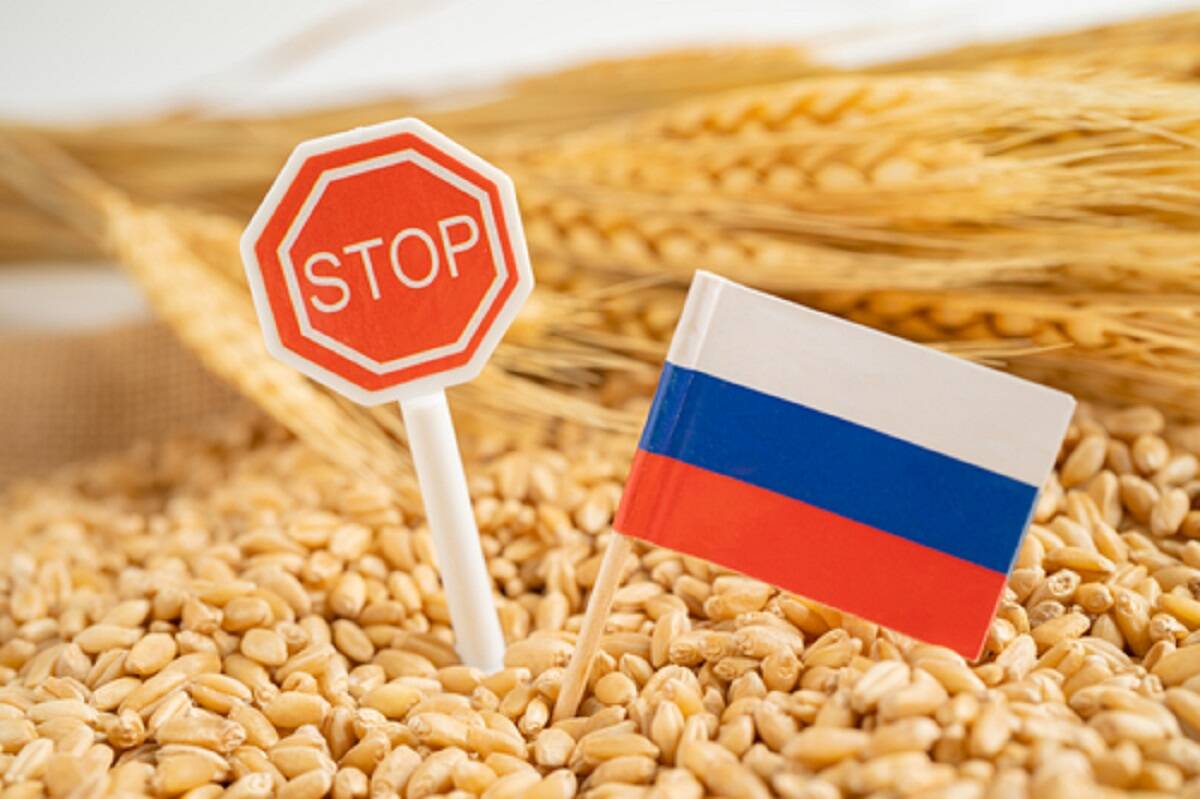 import, zboże, Rosja