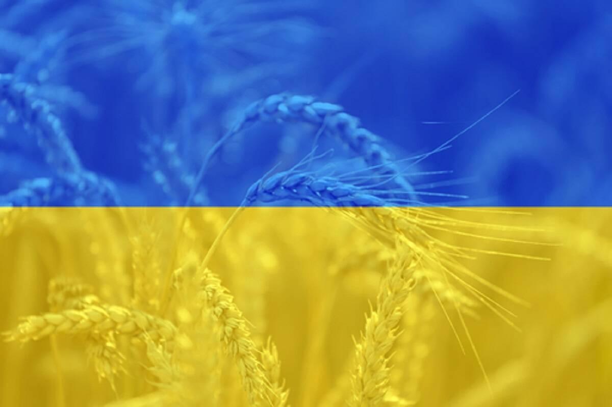 dopłaty, rolnictwo, Ukraina 